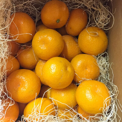 Capay Satsuma Mandarins 5lb and 10lb Gift Box